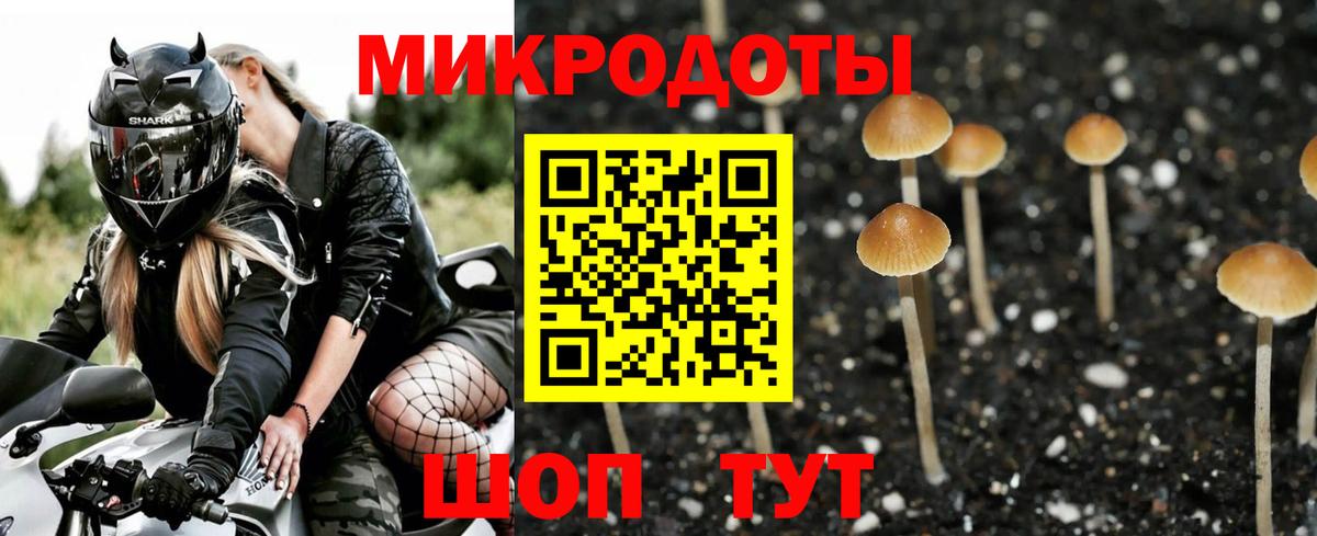 Галлюциногенные грибы MAGIC MUSHROOMS  Вход с VPN  Октябрьский  Псилоцибиновые грибы Psilocybe 